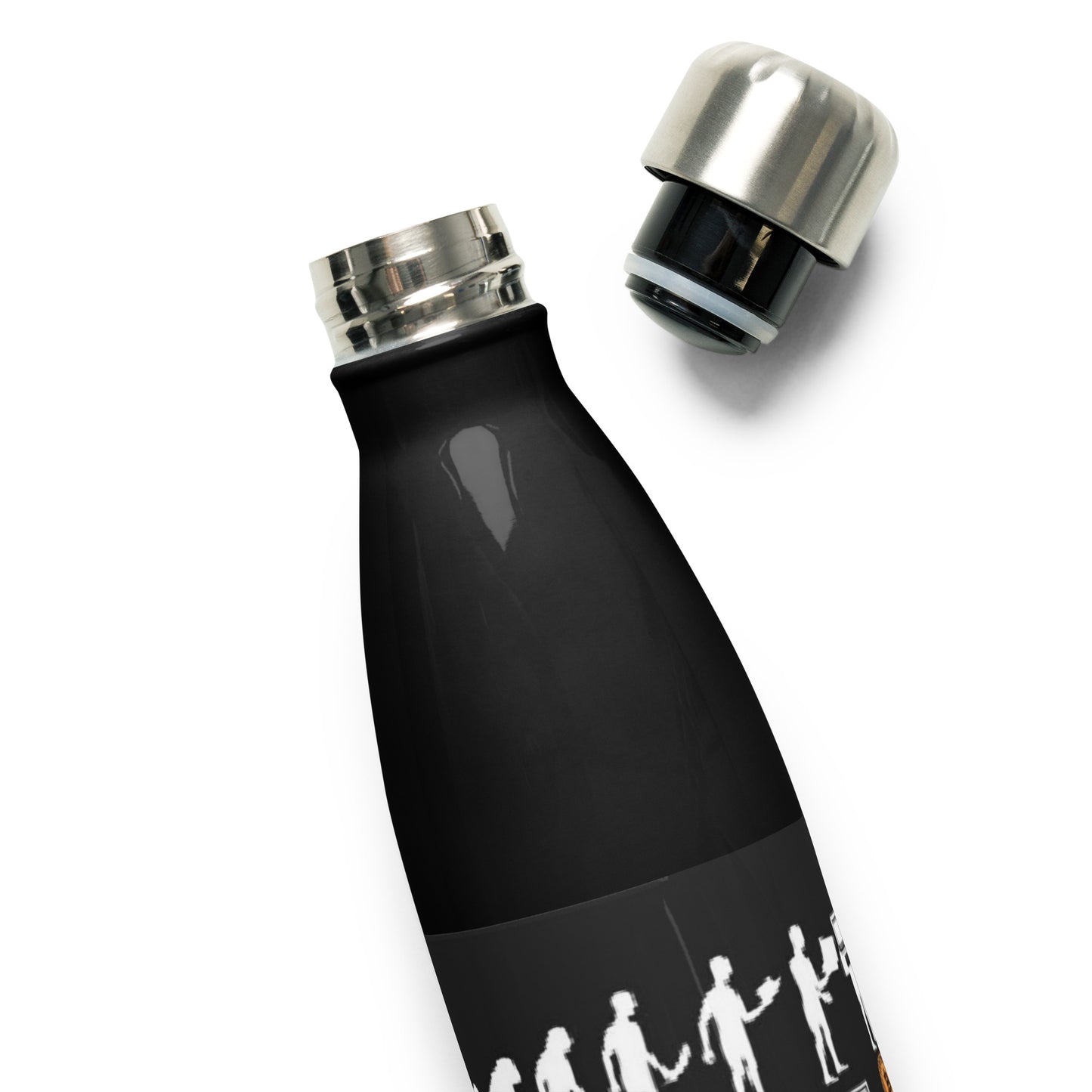 Stainless steel water bottle Evolution of Money BTC